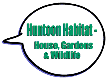 Huntoon Habitat Balloon