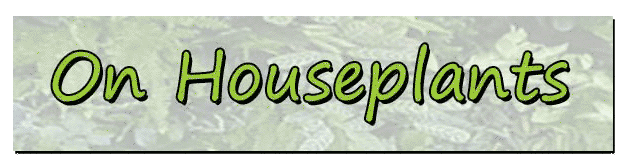 "On Houseplants" banner